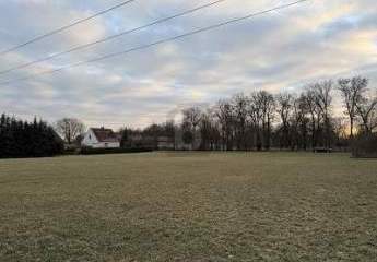 481159-Vorschaubild2