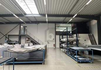 477055-Vorschaubild3