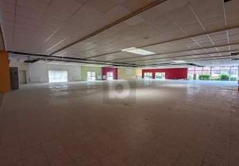 481622-Vorschaubild4