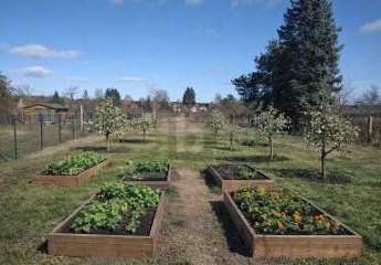 478991-Vorschaubild2