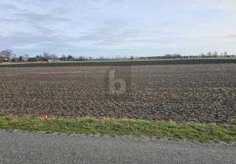 481626-Vorschaubild4