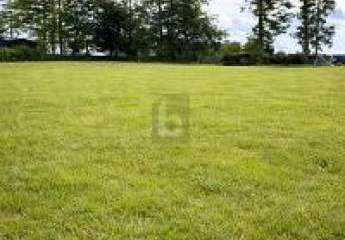 NATUR PUR - TRAUMHAFTE LAGE AM FELDRAND