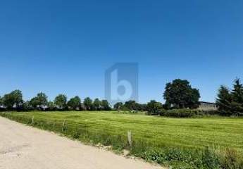 479498-Vorschaubild3