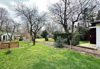 479012-Vorschaubild3