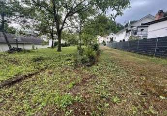 479502-Vorschaubild3