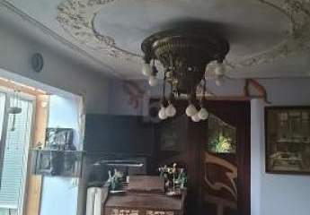 481486-Vorschaubild2