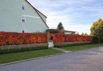 KEINE KÄUFERPROVISION FÄLLIG!