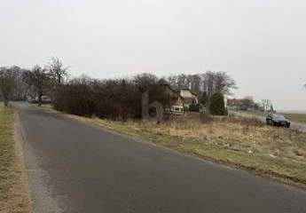 479527-Vorschaubild4