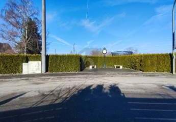 479530-Vorschaubild3