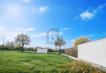 479097-Vorschaubild4