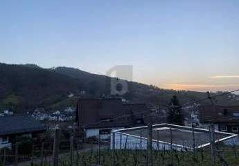 479187-Vorschaubild3