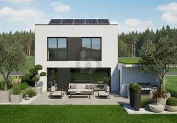 479110-Vorschaubild2