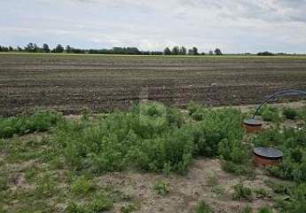 481612-Vorschaubild2