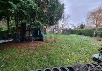 482257-Vorschaubild4