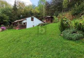 ROHDIAMANT - NATURGUNDSTÜCK MIT BESTAND