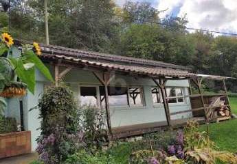 482270-Vorschaubild2