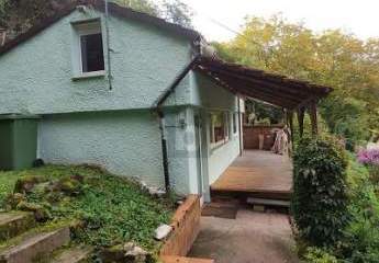 482270-Vorschaubild3