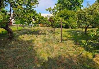 478282-Vorschaubild3