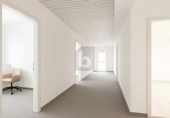 481658-Vorschaubild3