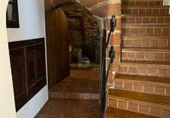 482289-Vorschaubild2