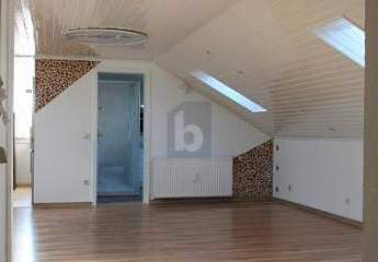 482484-Vorschaubild2