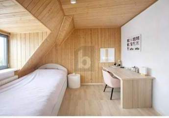 482525-Vorschaubild2