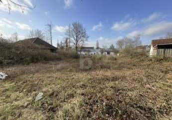 481479-Vorschaubild2