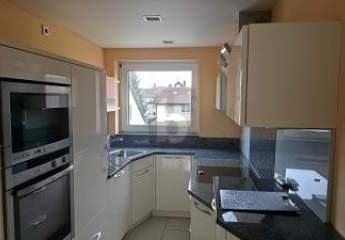 482559-Vorschaubild2