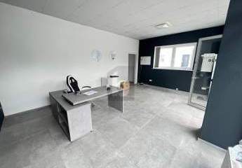 482600-Vorschaubild2