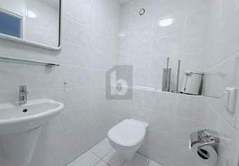 482290-Vorschaubild2