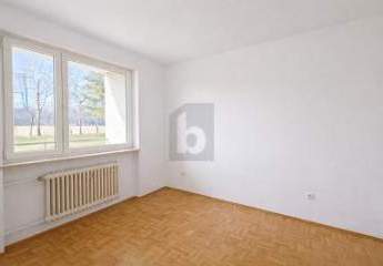 482822-Vorschaubild3