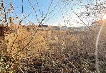 478240-Vorschaubild3