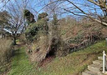 477951-Vorschaubild3