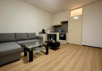 482835-Vorschaubild2