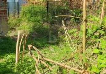 477080-Vorschaubild2