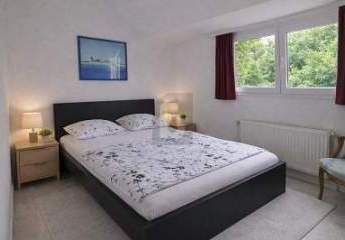 479015-Vorschaubild3