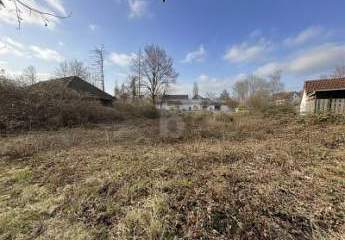 481479-Vorschaubild2