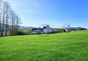 479044-Vorschaubild2