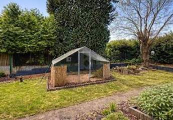 478926-Vorschaubild3