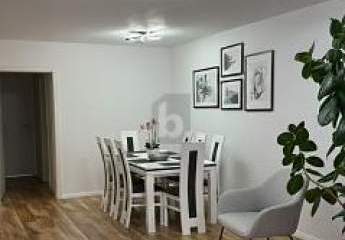 482852-Vorschaubild2