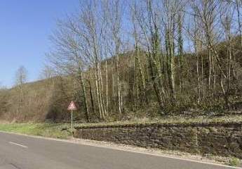 531QM EXKLUSIVES MOSELGOLDSTÜCK IN BESTLAGE