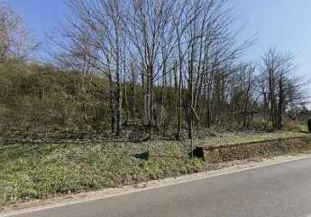 478296-Vorschaubild2