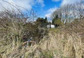 478297-Vorschaubild2