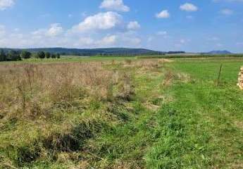 479100-Vorschaubild2