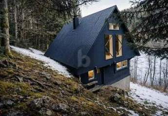 481404-Vorschaubild2