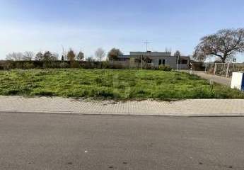 479643-Vorschaubild3