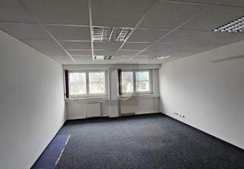 481330-Vorschaubild3