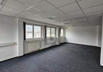 481330-Vorschaubild4