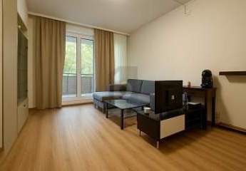 482835-Vorschaubild3