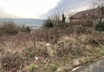 479655-Vorschaubild3